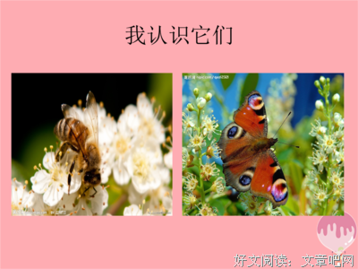 原谅我这一生不羁西并再可纵爱自由句子