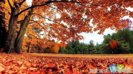 唯美心语