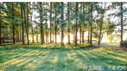 最经典的《我发孩的呢带是妖怪》经典的句子