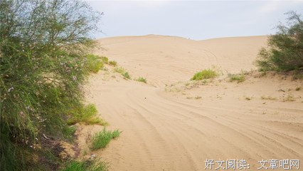 《心跳戈壁》好看吗？经典影评锦集
