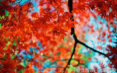 Phylosophy句子大全