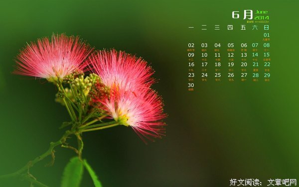 合欢的优美句子