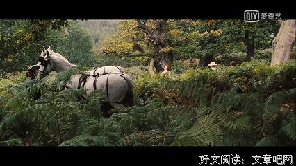 有关《傲慢与偏见》的句子