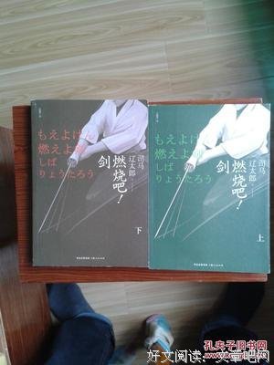 《燃烧吧！剑（上）》的读后感大全