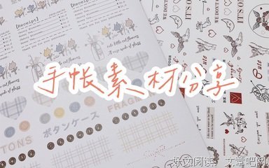 《北海怪兽》读后感100字