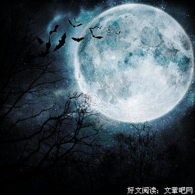 描写硬着头皮的语句摘抄