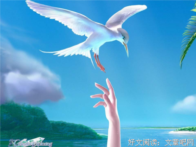 赏读 