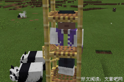 最经典的《降物》好段摘抄