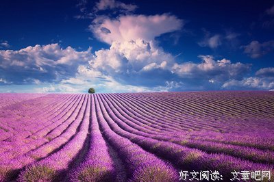 明白了这件事，人生处处是风景！
