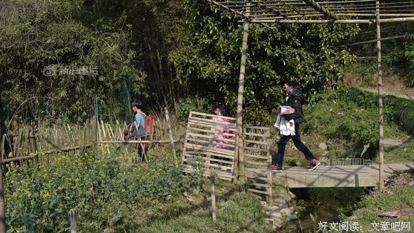 妻儿离世3年后，林生斌终于改名，这23个字看哭网友