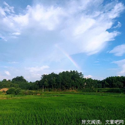 欣于所遇优美的句子