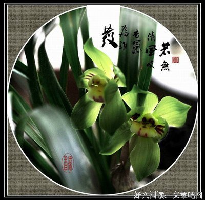 当时年少 经典的句子
