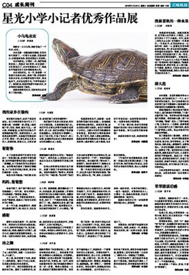亲爱的笨笨猪/杨红樱童话全集的读后感大全