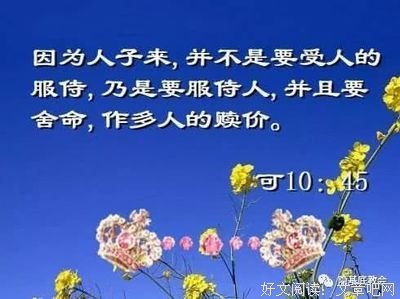 一生的呼召读后感1000字