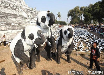 大象詹妮与我读后感摘抄