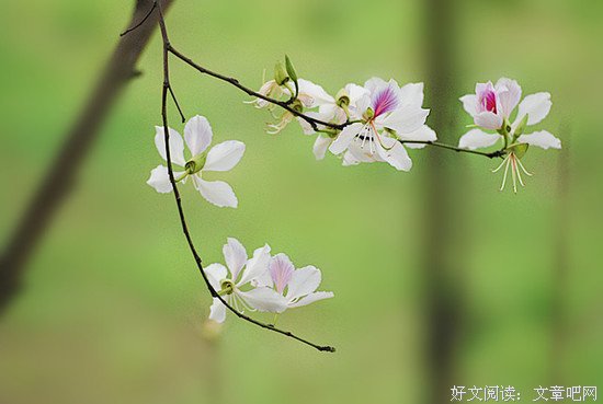 短短6句话，胜读10年书（深度） 