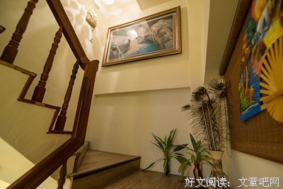 一场生活疗愈综艺直播的全过程体验