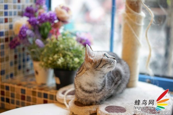 闲适的名言_关于闲适的名言