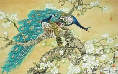 虚情假意的名言_关于虚情假意的名言