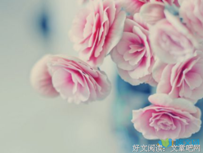 描写不卑不亢的语句摘抄
