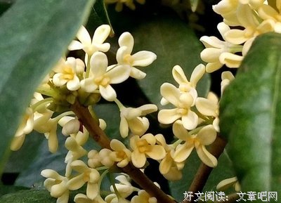泪如雨下的名言_关于泪如雨下的名言