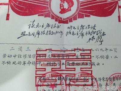上种以毛句子大全