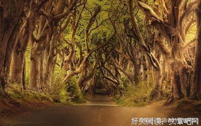 《树上的男爵》读后感1000字