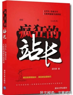 疯狂的站长读后感精选