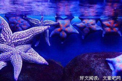 最新的《海是倒过来的要军没那》好段摘抄大全
