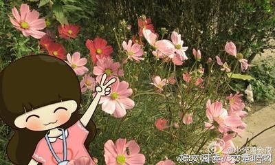《我的兄弟，我的篮球》经典读后感有感