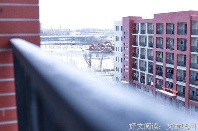 顾长安。的句子