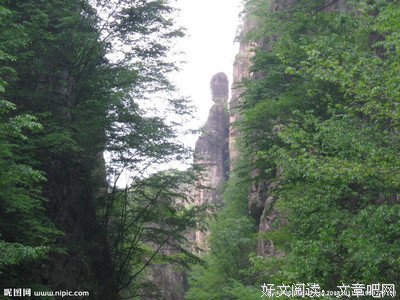 回首潮州：潮韵寻踪三下乡实践队的丰收