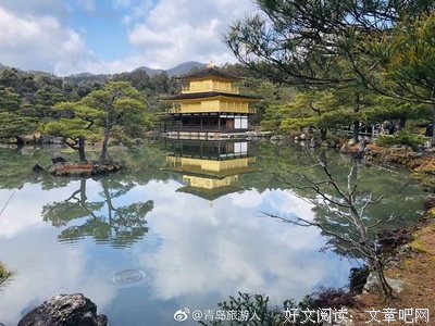 《你已不在那里：京都动画纵火事件》经典影评1000字