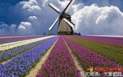 《妻子的浪漫旅行 第四季》影评摘抄