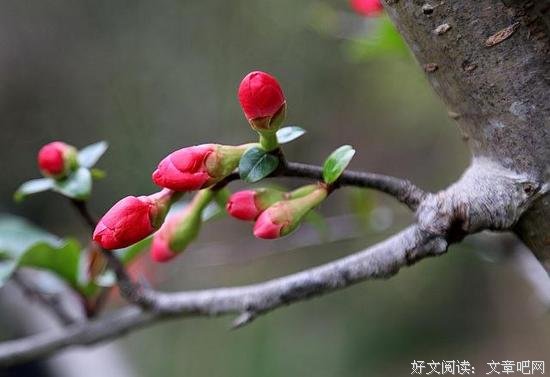 认清一个人，看这四点就够了