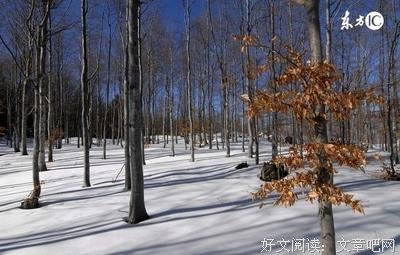 关于背井离乡的格言