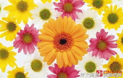 关于张牙舞爪名言名句