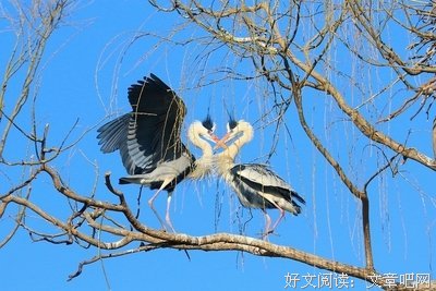 关于谈情说爱的座右铭