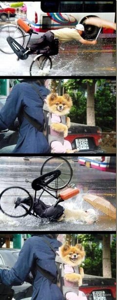 关于幸灾乐祸的座右铭