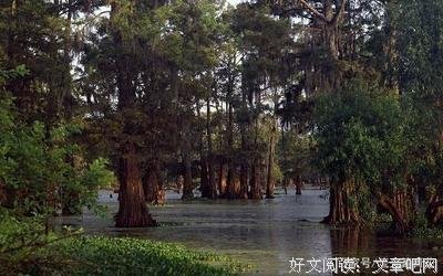 苦不堪言的语句摘抄_关于苦不堪言的语句