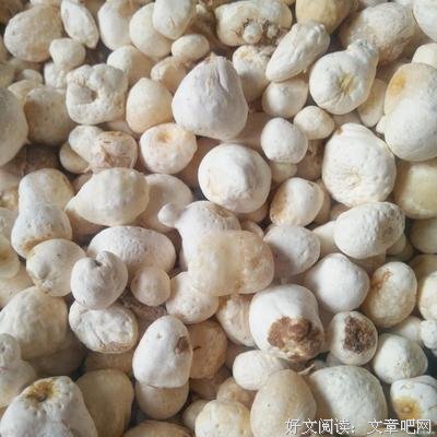 有关半夏成深念的句子