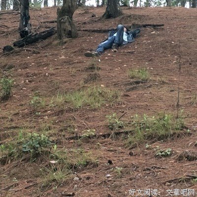 宇哥语录