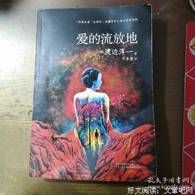 爱的流放地读后感摘抄