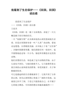 洞读后感1000字