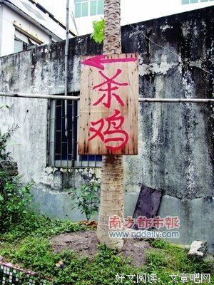 有关于年上心的句子