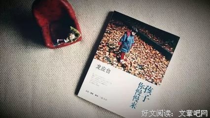 龙应台句子大全