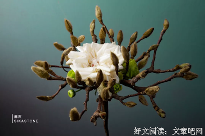 桔梗花开的季节的句子