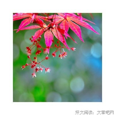 关于近花我月来出别到楼的句子