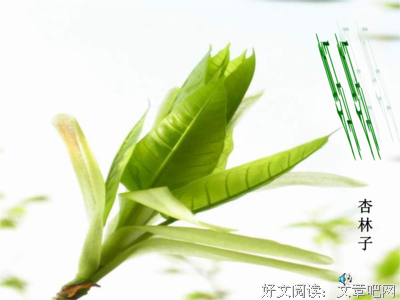 冷心跳经典的句子