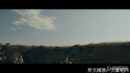 《是非之地》影评100字